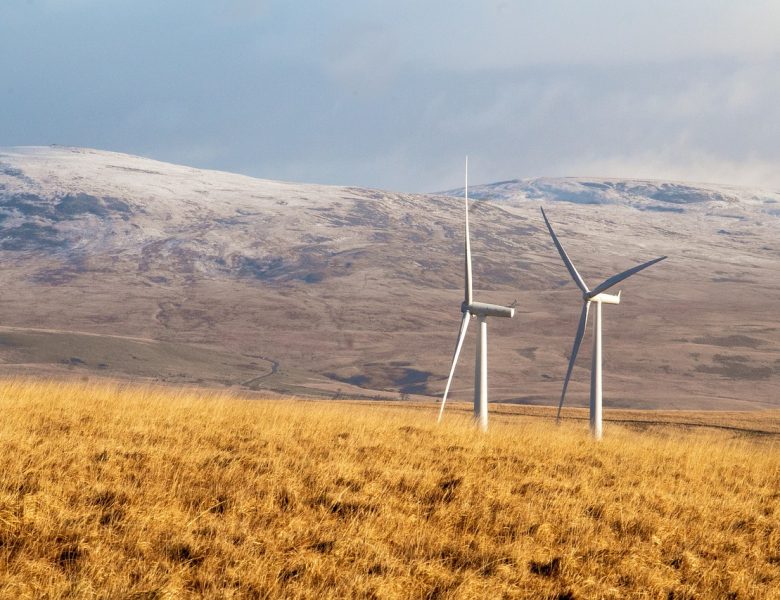 Énergies renouvelables et bilan carbone : un duo gagnant