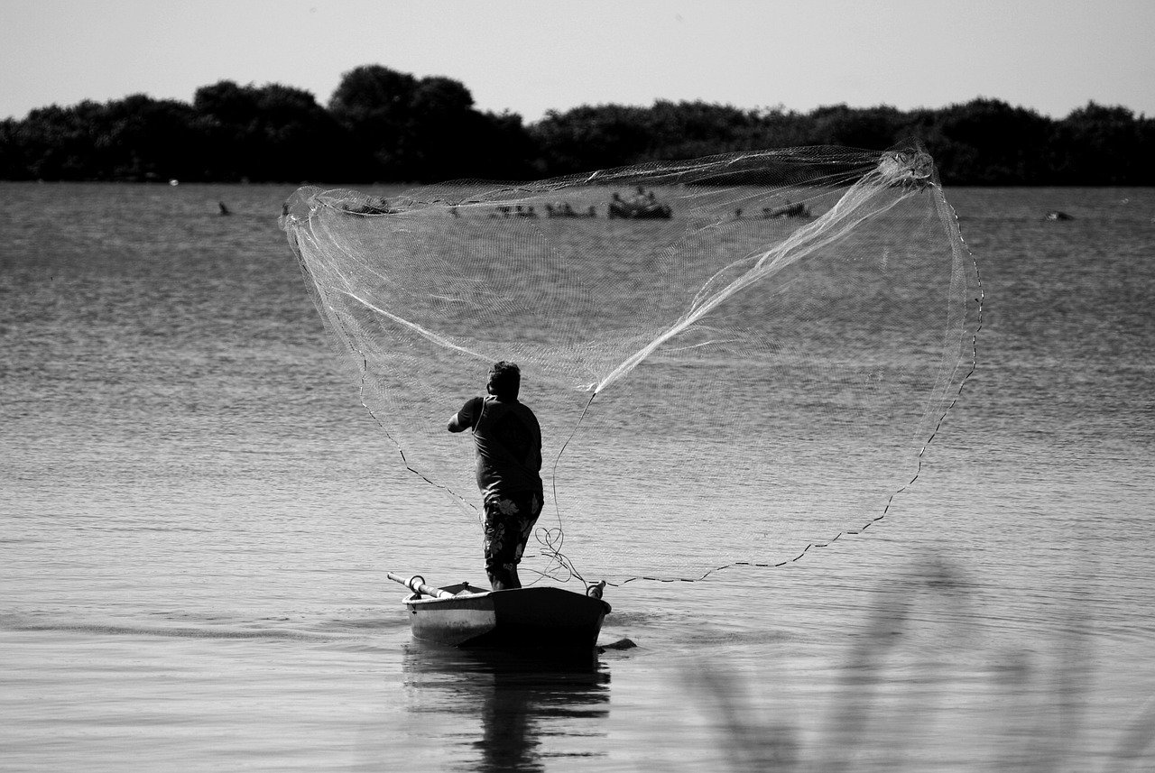 découvrez comment atteindre l'objectif des émissions nettes nulles, une stratégie essentielle pour lutter contre le changement climatique. apprenez des solutions durables, des innovations et des actions concrètes qui permettent de réduire l'empreinte carbone tout en favorisant une croissance écologique.