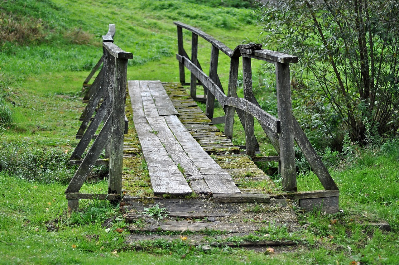 découvrez comment la transition écologique redéfinit notre rapport à l'environnement, favorise un développement durable et encourage des pratiques respectueuses de la planète. explorez les enjeux, les solutions et les actions à entreprendre pour un avenir durable.