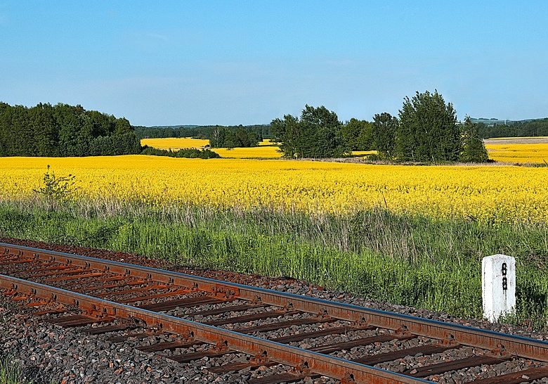 Les biocarburants et le bilan carbone : un sujet controversé