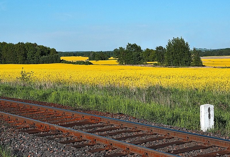 Les biocarburants et le bilan carbone : un sujet controversé