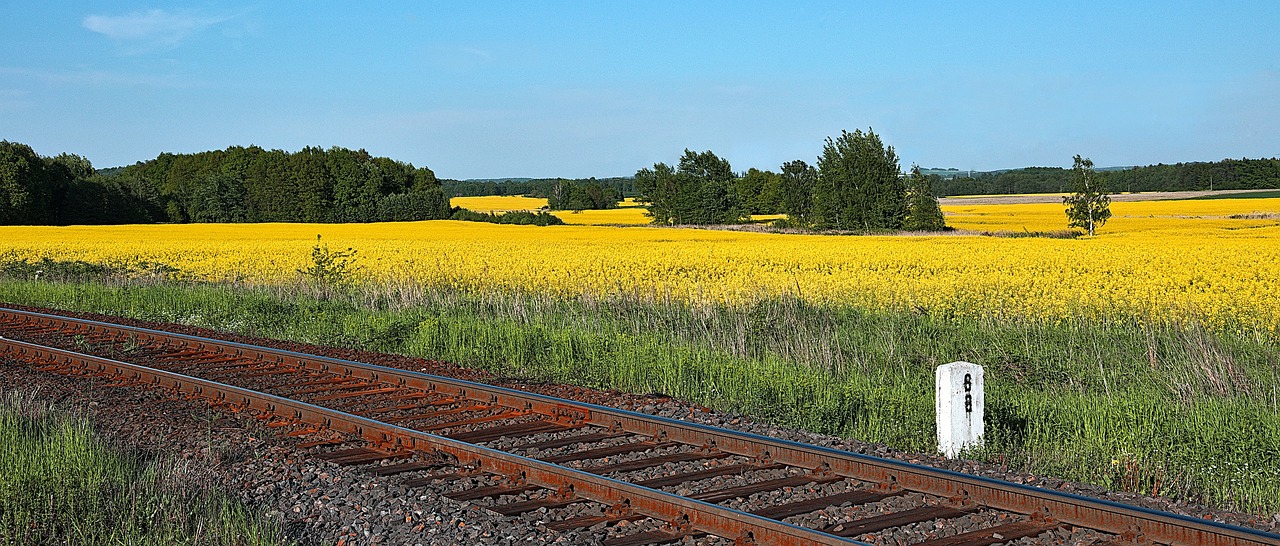 découvrez les biocarburants, une alternative écologique aux combustibles fossiles. apprenez comment ils sont produits, leurs avantages pour l'environnement, et leur rôle dans la transition énergétique mondiale.