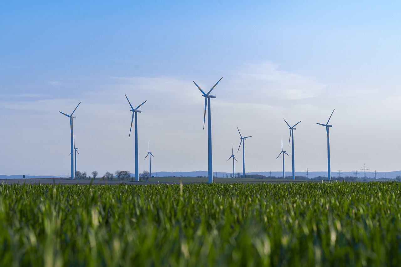 découvrez l'engagement vers la durabilité, une approche essentielle pour préserver notre planète. apprenez comment des pratiques respectueuses de l'environnement peuvent transformer nos modes de vie et garantir un avenir meilleur pour les générations futures.