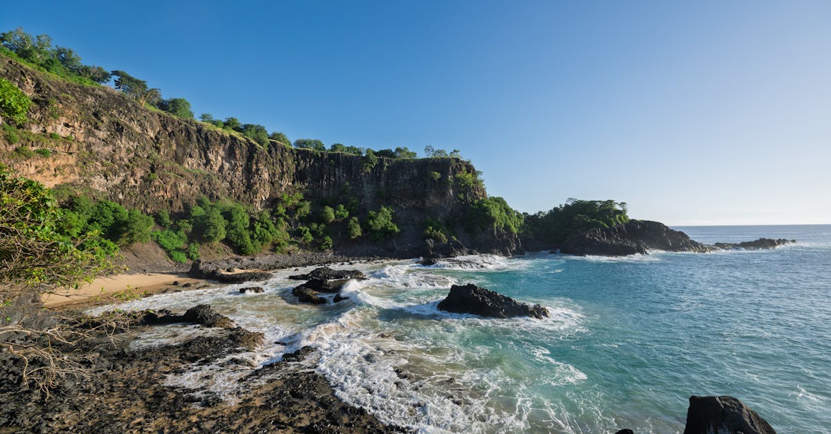 découvrez l'importance de la biodiversité pour notre planète. explorez les différents écosystèmes, la richesse des espèces et les enjeux liés à la conservation. engagez-vous pour protéger notre environnement et préserver la vie sur terre.
