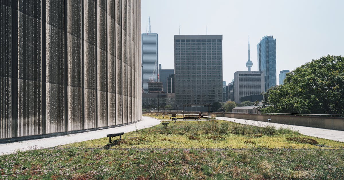 découvrez les principes de la durabilité et leur impact sur notre environnement. apprenez comment adopter des pratiques responsables pour un avenir plus vert et éthique, tout en préservant les ressources pour les générations futures.