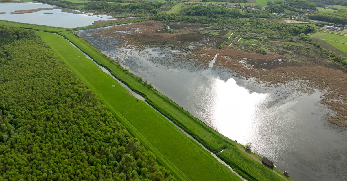 découvrez les écosystèmes, ces réseaux complexes d'organismes vivants et de leur environnement, qui interagissent pour maintenir l'équilibre de notre planète. explorez la diversité, les menaces et les solutions pour préserver ces habitats essentiels à la vie.
