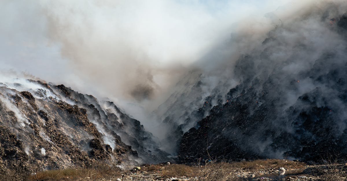 découvrez nos stratégies innovantes et nos solutions efficaces pour la réduction des émissions, engagées dans la lutte contre le changement climatique et le soutien à la durabilité environnementale.