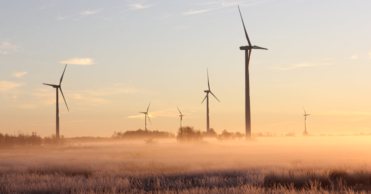 découvrez l'importance de la durabilité et comment elle façonne notre avenir. explorez des pratiques éco-responsables, des innovations vertes et des solutions pour un monde plus durable.