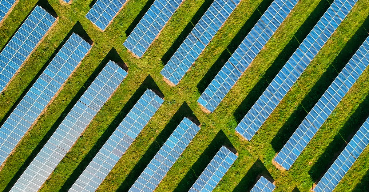 découvrez les enjeux et les pratiques du développement durable, un modèle qui vise à concilier croissance économique, équité sociale et préservation de l'environnement pour un avenir responsable et équilibré.