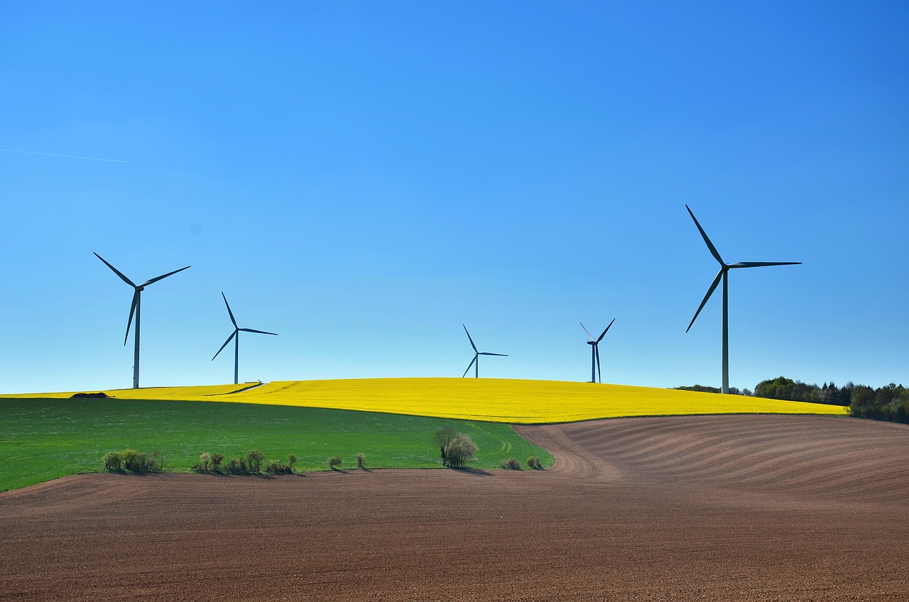 découvrez des solutions durables pour un avenir écologique et responsable. apprenez comment adopter un mode de vie durable, réduire votre empreinte carbone et soutenir des pratiques respectueuses de l'environnement.